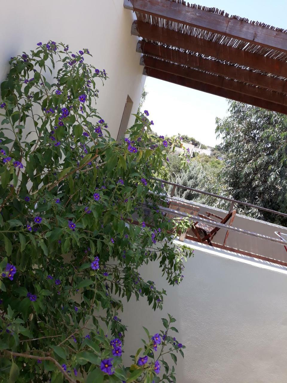 Vilana Studios Kalamos  المظهر الخارجي الصورة