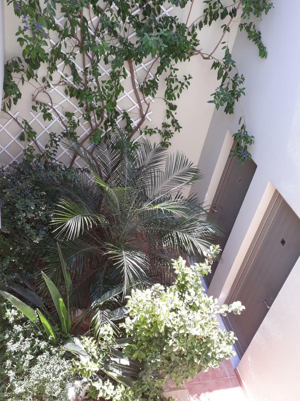 Vilana Studios Kalamos  المظهر الخارجي الصورة